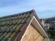 Aberdeen Property Maintenance, Aberdeenshire, Aberdeen Roof Repairs, Gutter Cleaning Aberdeen, Gutter Repairs Aberdeen, Path and Driveway Cleaning Aberdeen, Power Washing Service Aberdeen, House Painting Aberdeen, Roof Painting Aberdeen, Roof Cleaning Aberdeen, Moss, Algae, Dirty, Treatment. Hand cleaning. Emergency call out Aberdeen.